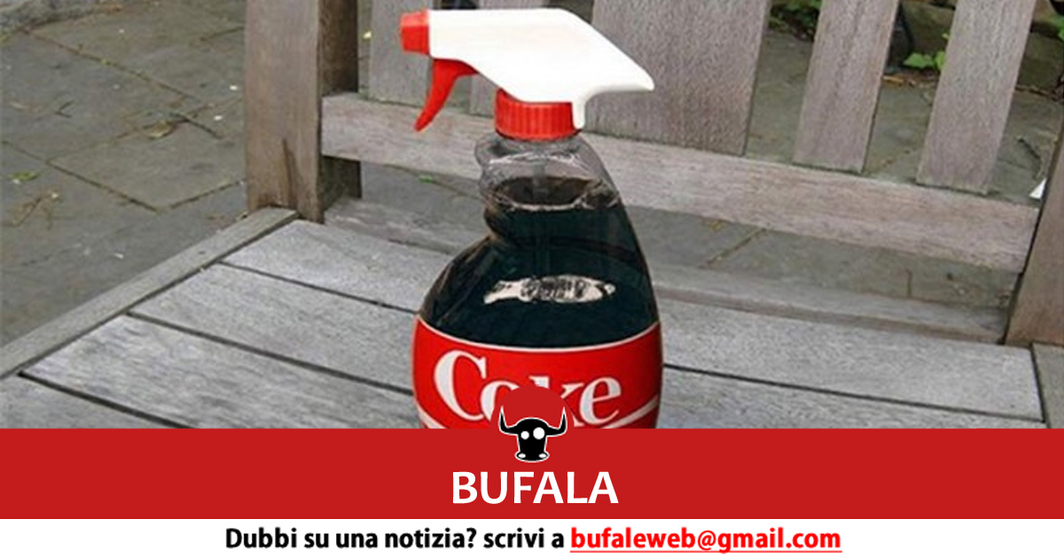 bufala