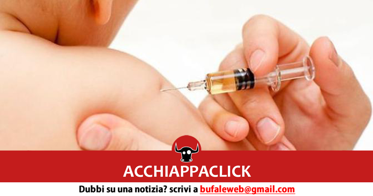acchiappaclick vaccino bimbo
