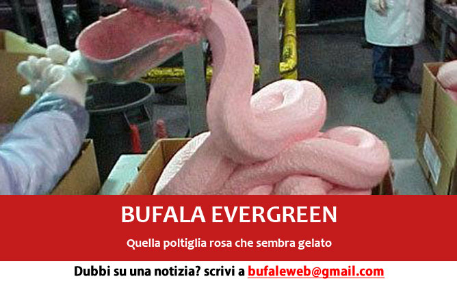 pink-slime-bufala-evergreen