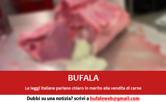 bufala-carne-tumori-ascessi-venduta-lavata
