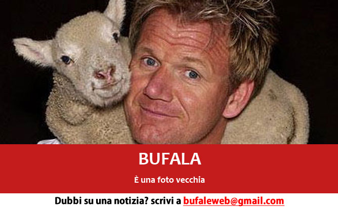 bufala-gordon-ramsey-agnello-ristorante-inglese