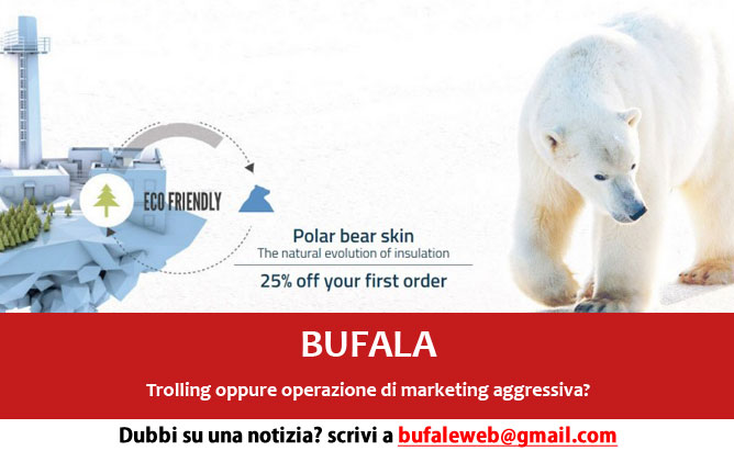 edilizia-pelli-orso-bianco-polare-bufala