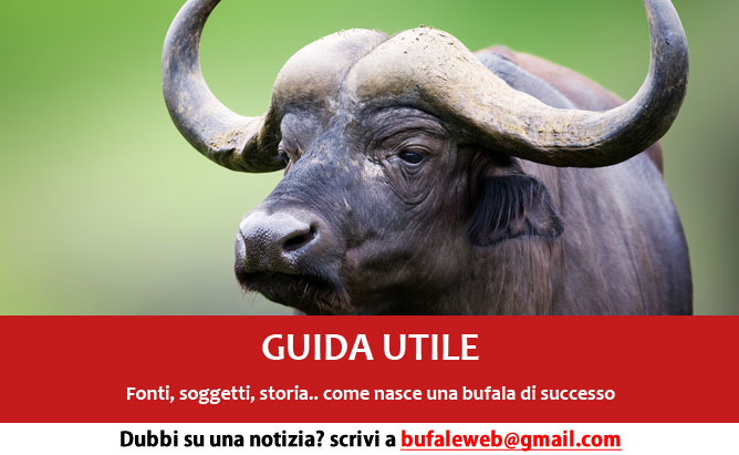 guida-utile-bufala