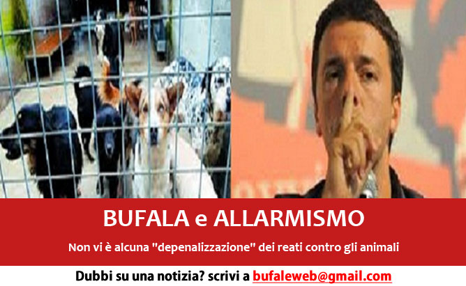 bufala-maltrattamento-animali-legale-depenalizzazione