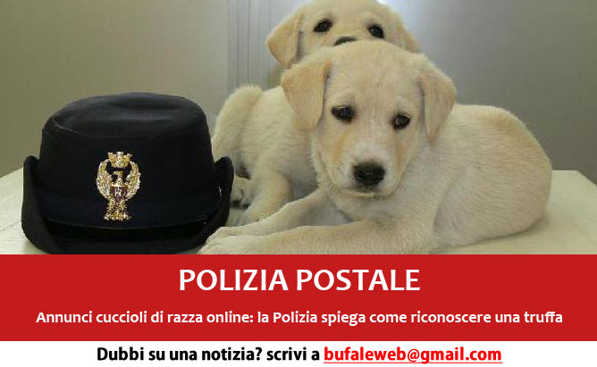polizia-postale-truffa-vendita-cani-online