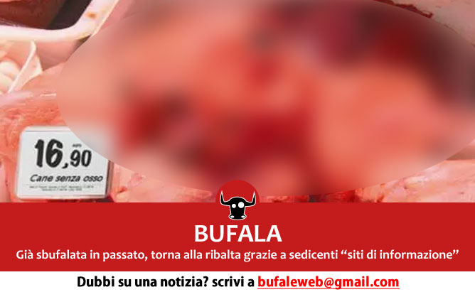 bufala-carne-cane-2015