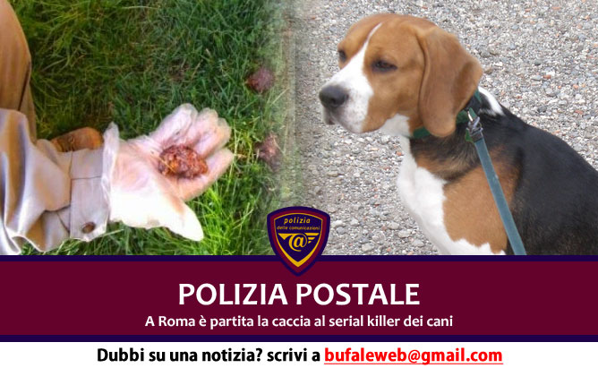 polizia-postale-caccia-serial-killer-cani-roma