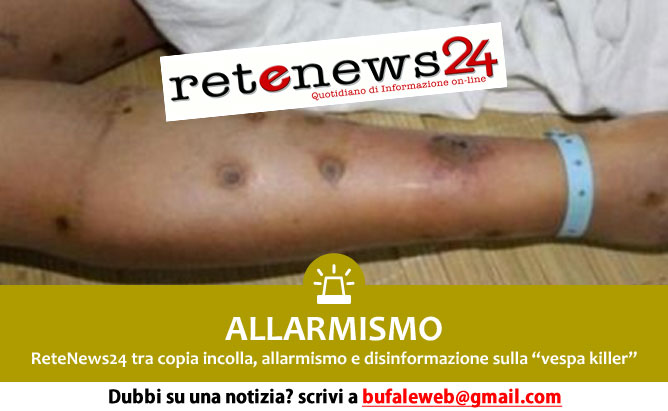 allarmismo-retenews24-disinformazione-vespe-killer