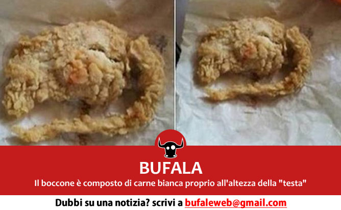 bufala-topo-fritto-KFC