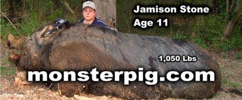 Jamison_stone_monster_pig