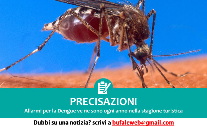 precisazioni-dengue-italia