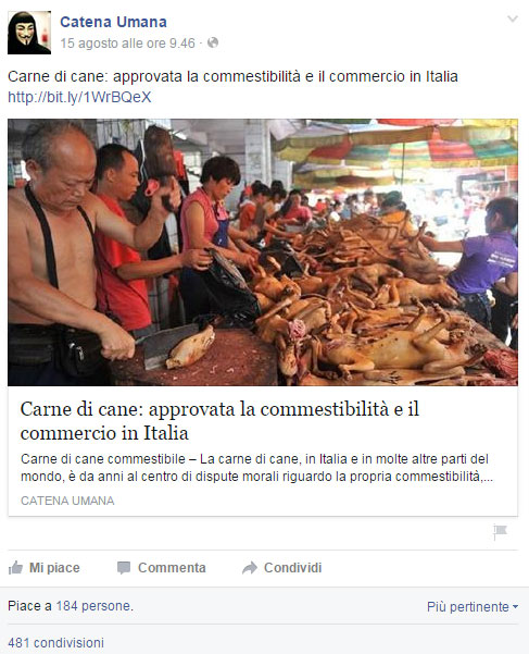 bufala-carne-cane-catenaumana-facebook