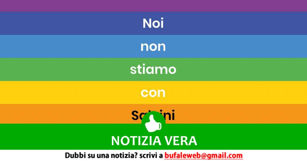 Io non sto con Salvini