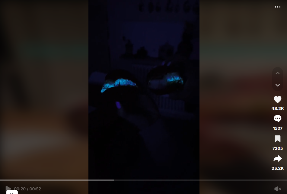 I gamberetti fluo all'Esselunga hanno una spiegazione logica