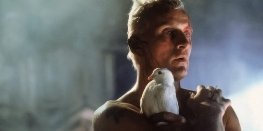 Robocop nasce quando qualcuno credette che Blade Runner (scena tratta dal film) era "Uno sbirro che caccia i robot"