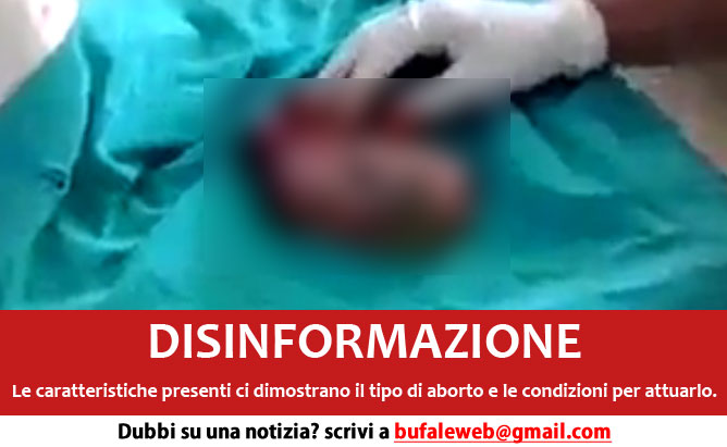 bufala sindaco di lonigo