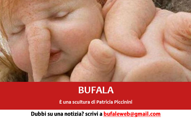 bufala sindaco di lonigo