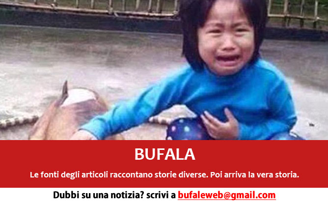 bufala sindaco di lonigo