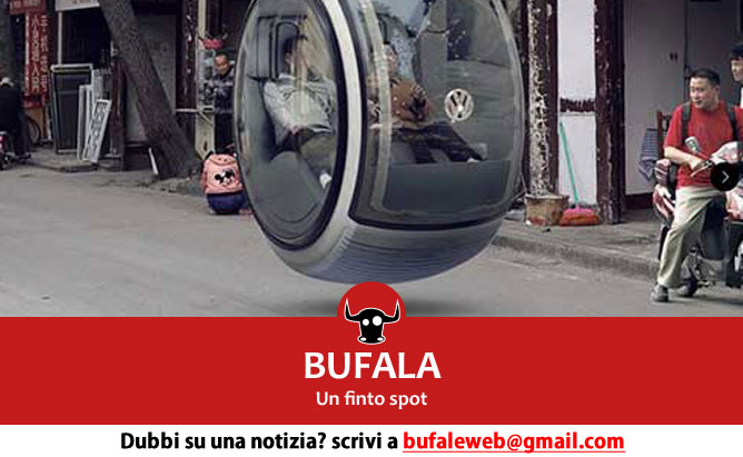 bufala sindaco di lonigo