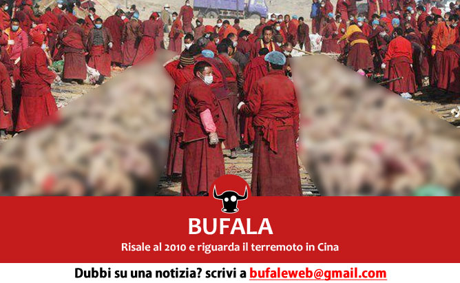 bufala sindaco di lonigo