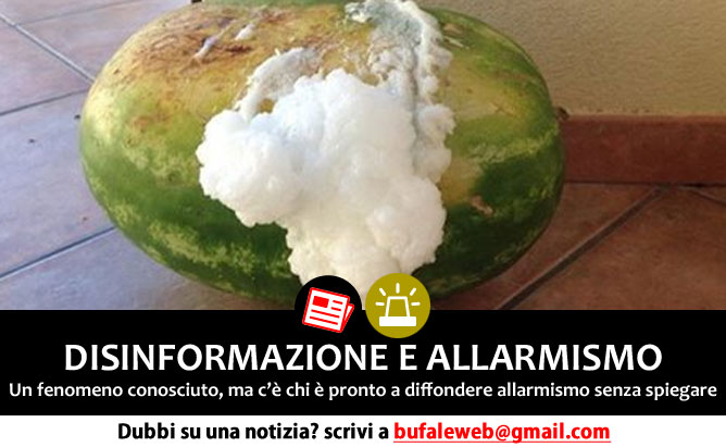 bufala sindaco di lonigo