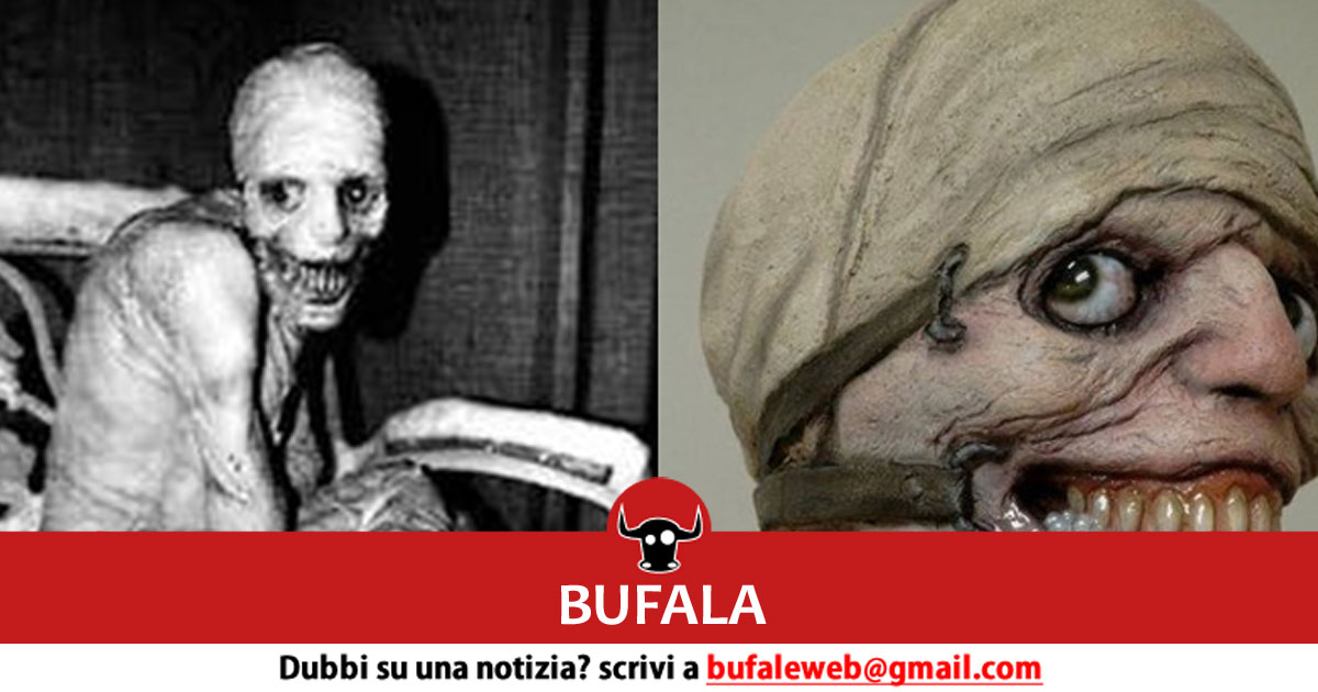 bufala sindaco di lonigo