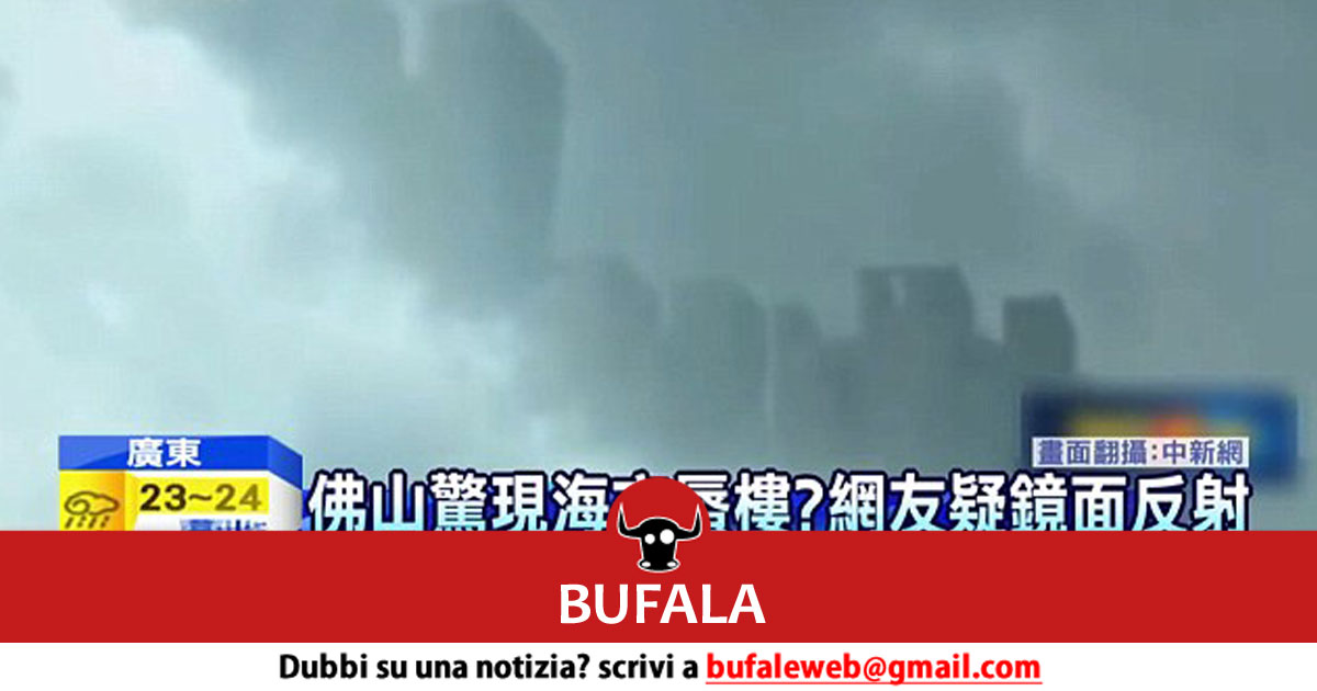 bufala sindaco di lonigo