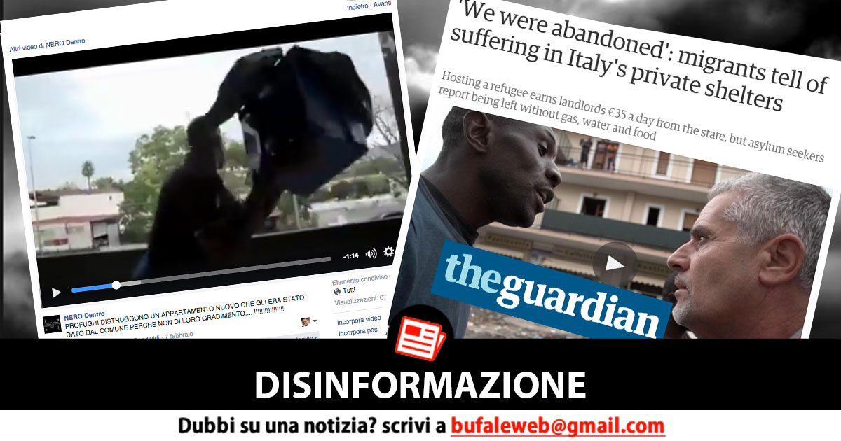 bufala sindaco di lonigo