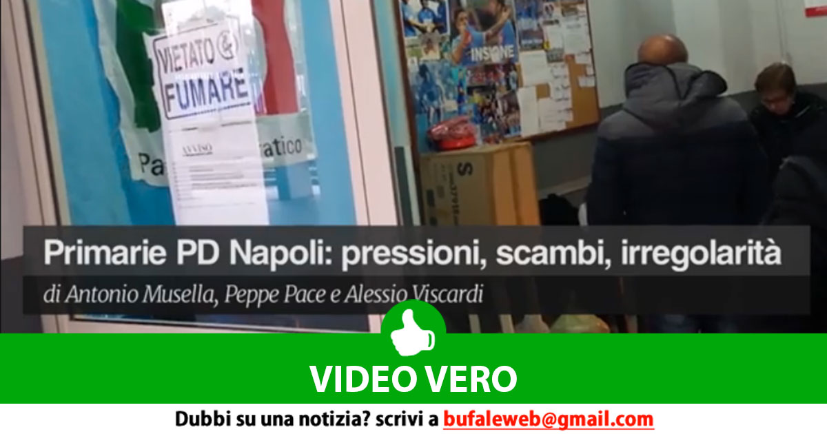 bufala sindaco di lonigo