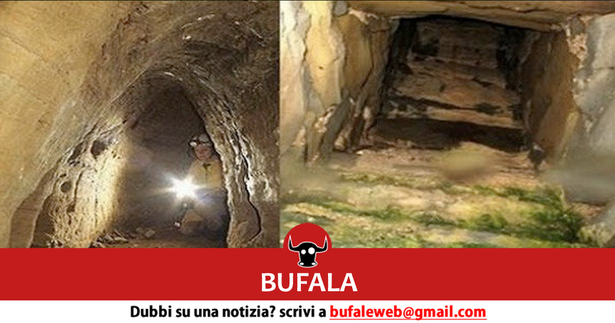 bufala sindaco di lonigo