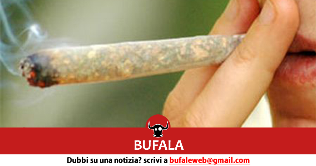 bufala sindaco di lonigo