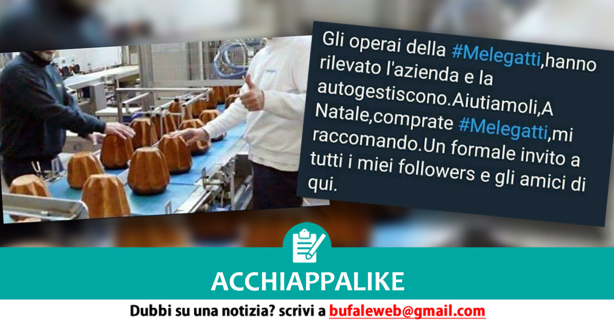 bufala sindaco di lonigo