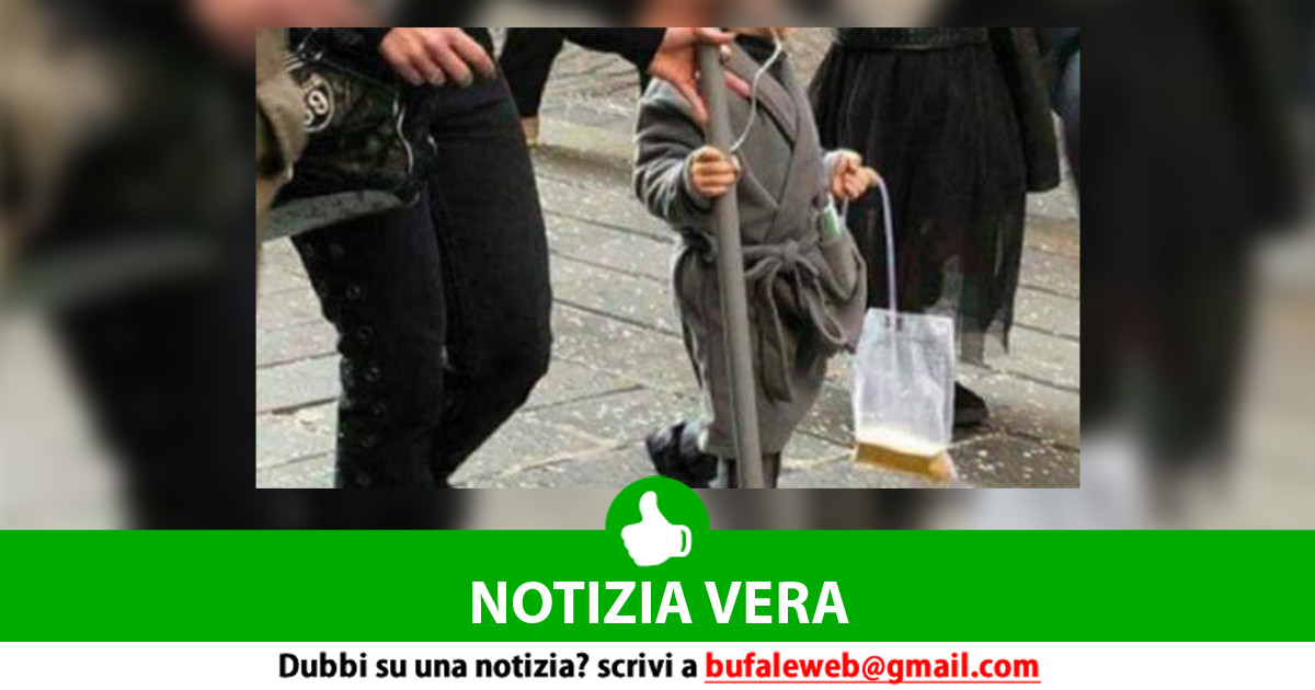 bufala sindaco di lonigo