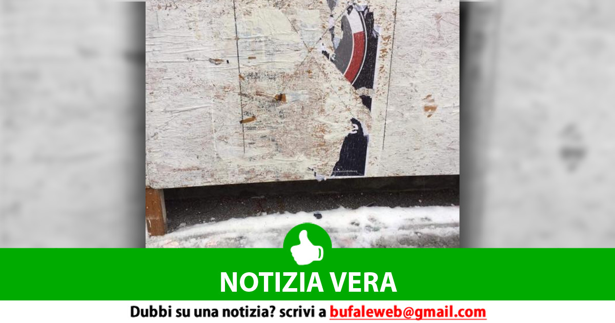 bufala sindaco di lonigo