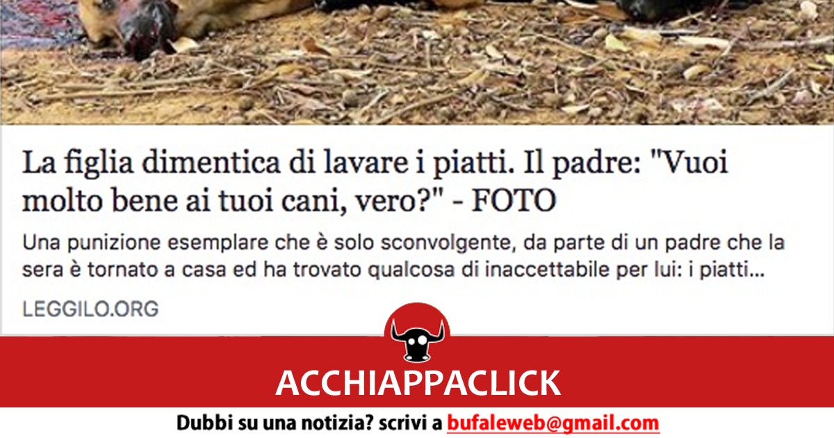 bufala sindaco di lonigo