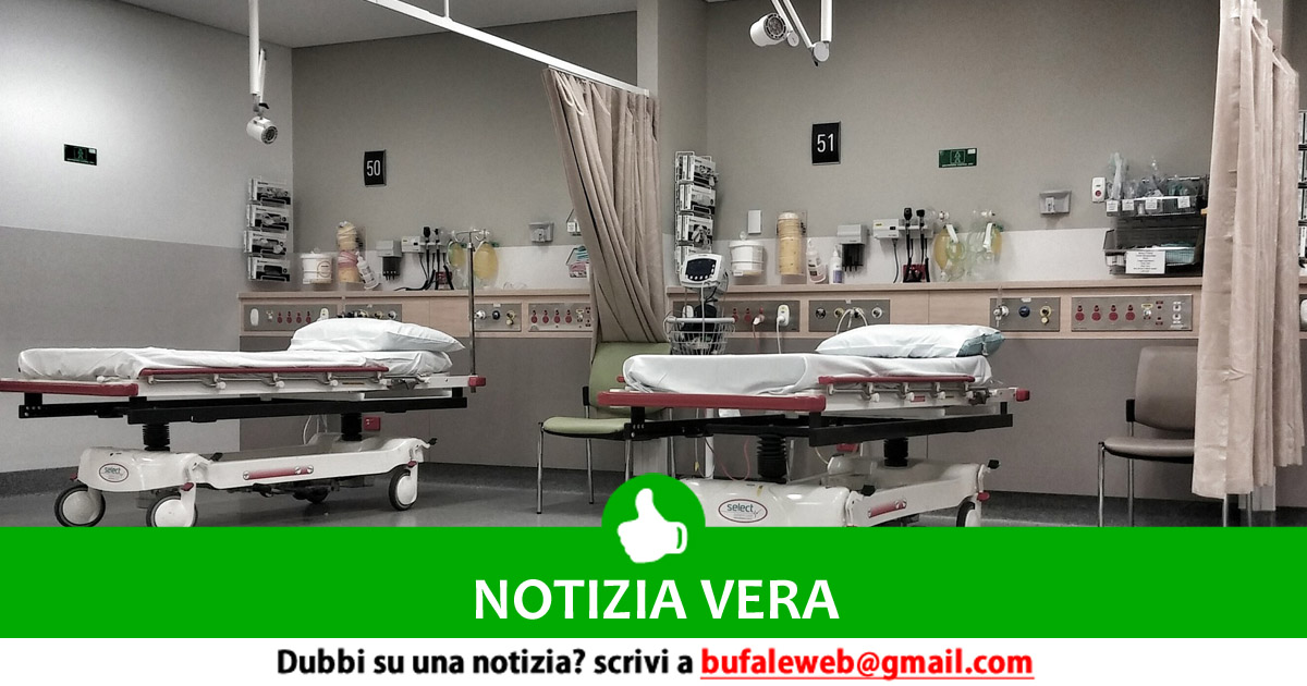 bufala sindaco di lonigo