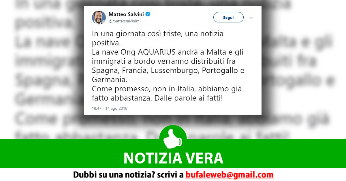 bufala sindaco di lonigo