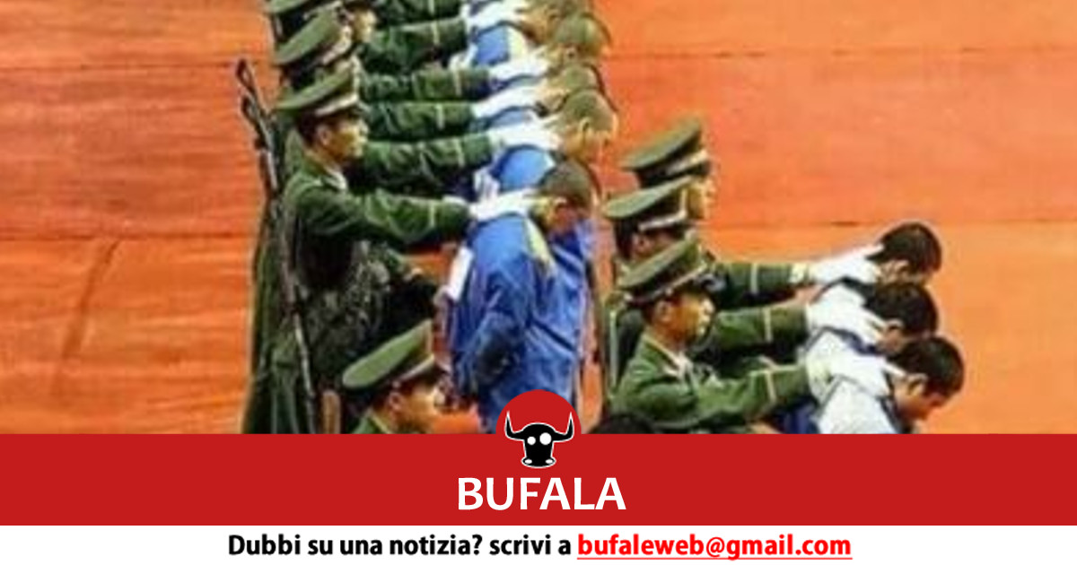 bufala sindaco di lonigo