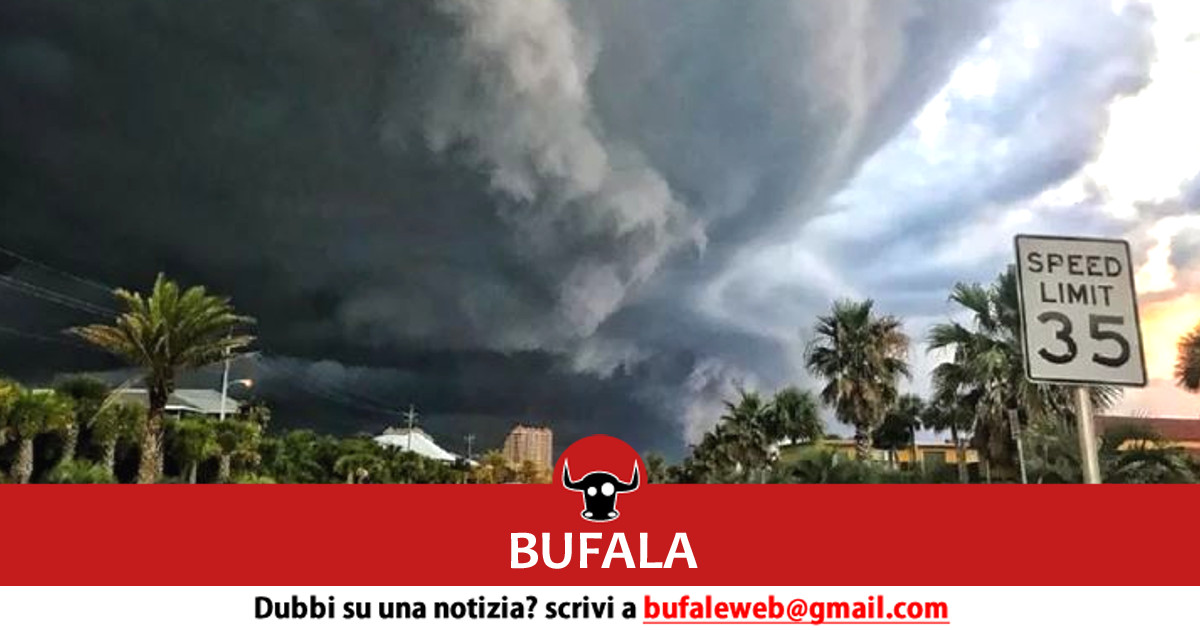 bufala sindaco di lonigo