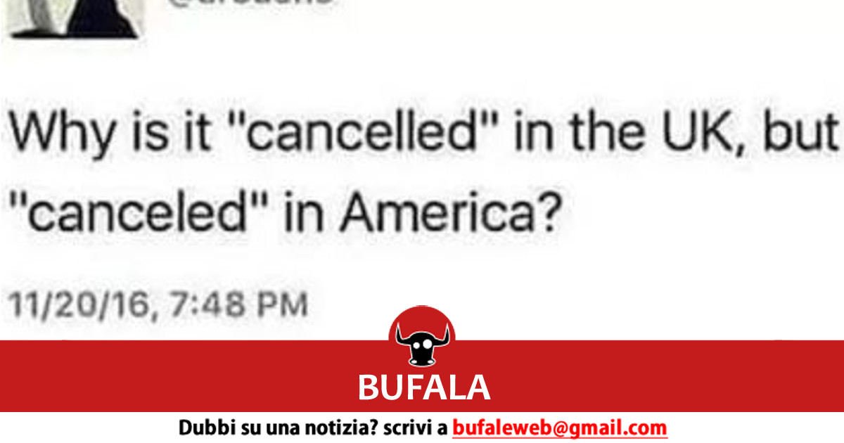 bufala sindaco di lonigo