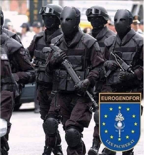 L'Eurogendfor con licenza di uccidere, ovvero "Sono un robò, ti faccio il cu*o come un comò"...