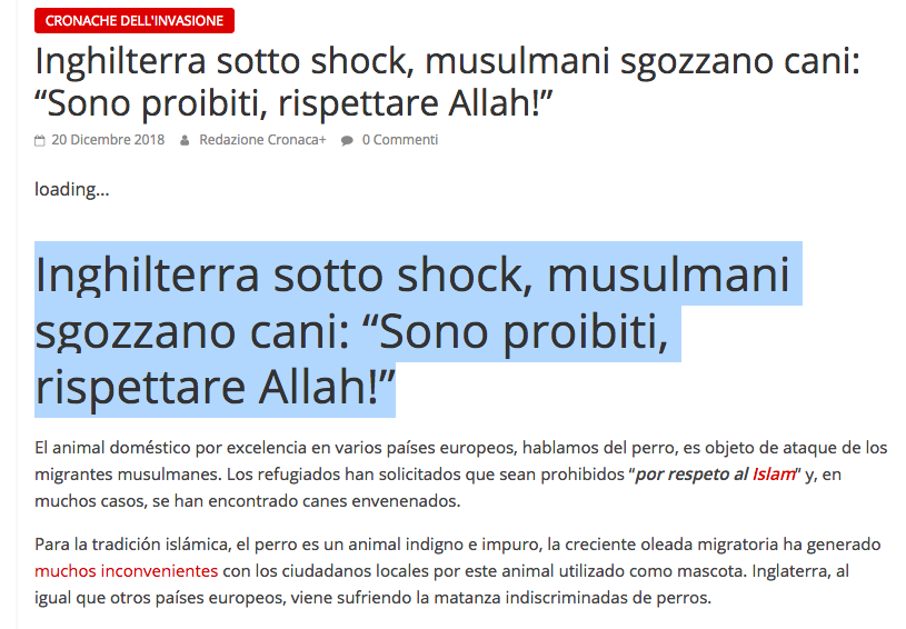 Inghilterra sotto shock, musulmani sgozzano cani: “Sono proibiti, rispettare Allah!”