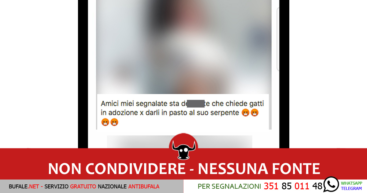 bufala sindaco di lonigo