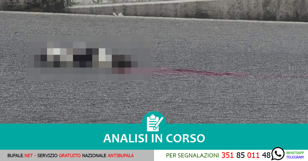 bufala sindaco di lonigo