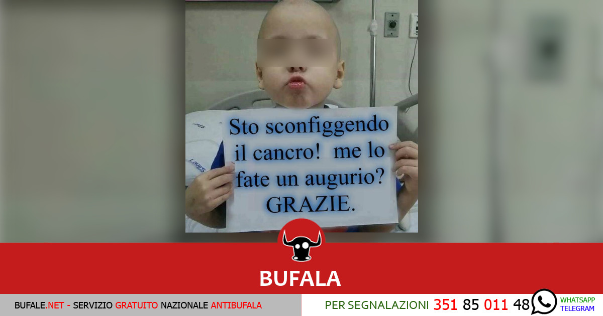 bufala sindaco di lonigo