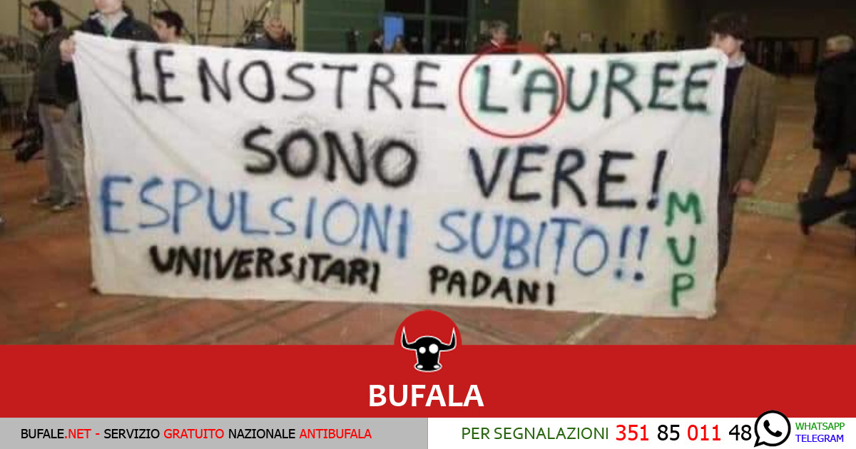 bufala sindaco di lonigo