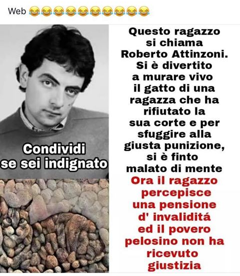 La bufala di Roberto Attinzoni