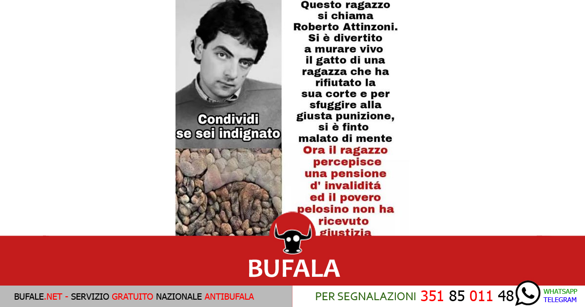 bufala sindaco di lonigo