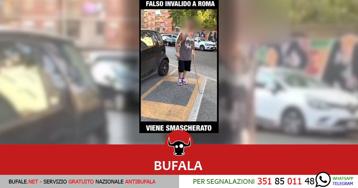 bufala sindaco di lonigo