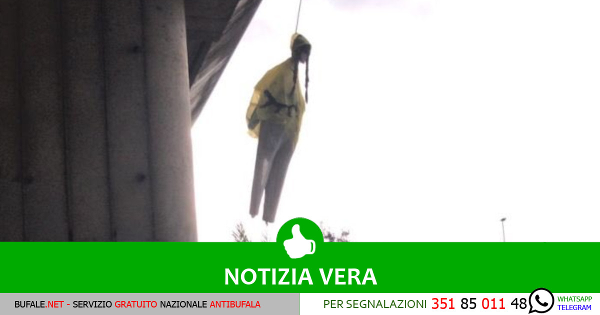 bufala sindaco di lonigo